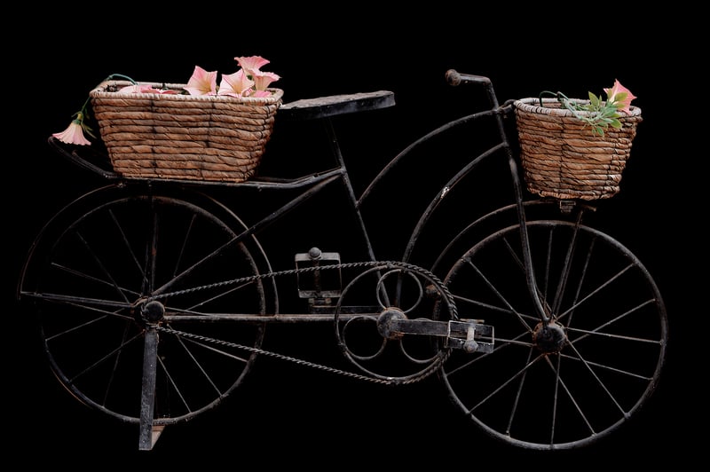 Bike Wheel Vertical Garden